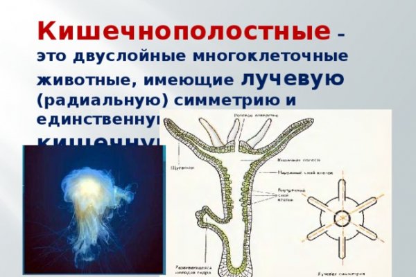 Активная ссылка кракен