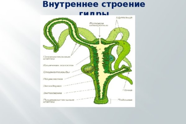 Кракен онлайн магазин